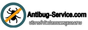 Antibug Service